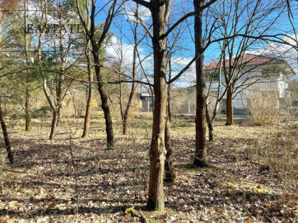 Działka developerska 1737 m²-asfaltowy dojazd.