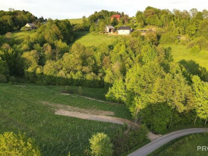 Działka rekreacyjna Posadowa Mogilska gm. Korzenna