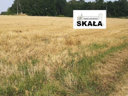 Działka budowlana Czaple Wielkie gm. Gołcza