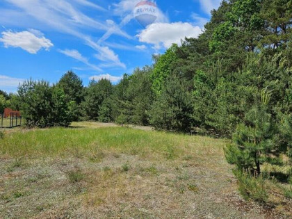 Działka budowlana 2630m2 z lasem