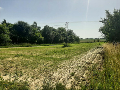 Działka rolna Krężnica Jara gm. Niedrzwica Duża,