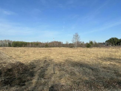 Działka budowlana 3150 m2 z warunkami zabudowy