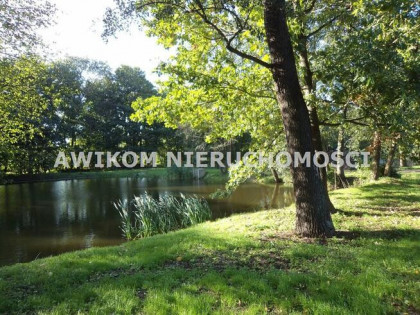 Działka usługowa Odrano-Wola gm. Grodzisk Mazowiecki