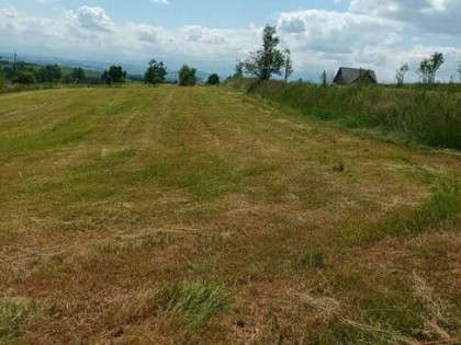 Działka rolna i budowlana Załuczne