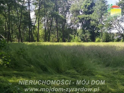 Działka budowlana Adamów-Wieś gm. Radziejowice