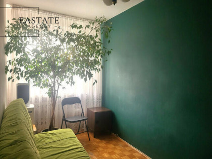 centrum miasta | nowe instalacje | cisza i zieleń