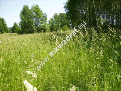 działki siedliskowe