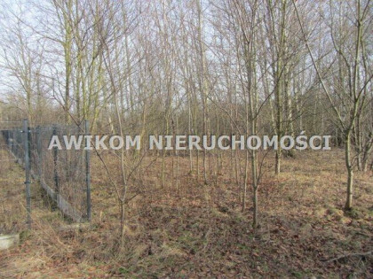 Działka budowlana Zboiska gm. Radziejowice