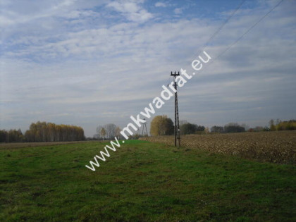 Działka Baranów