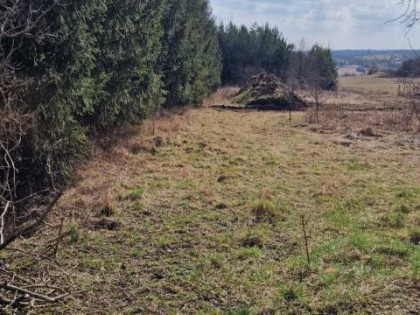 Działka Sadowie