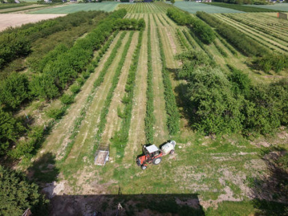 Działka siedliskowa Poniatowa-Kolonia gm. Poniatowa,