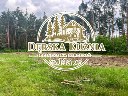 Działka budowlana Dębska Kuźnia gm. Chrząstowice, Kolonia