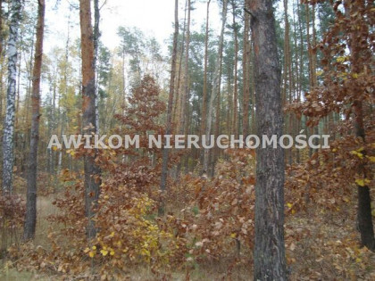 Działka budowlana Ojrzanów gm. Żabia Wola