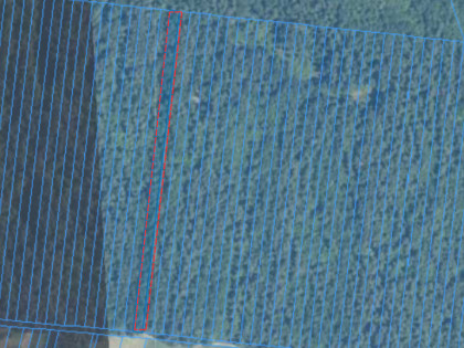2 działki leśne, 0.81ha, drzewostan 50+, Spiczyn