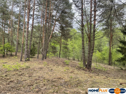 Działka w lesie 2064 m² - letniskowa i całoroczna