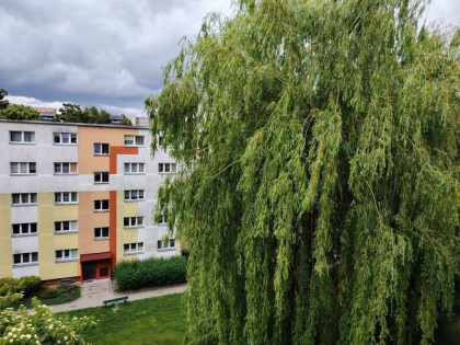 Mieszkanie Łódź Łódź-Bałuty, Żubardź, Żubardzka