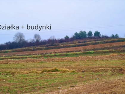 Obiekt produkcyjny z dużą ilością ziemi-gm.Wysokie