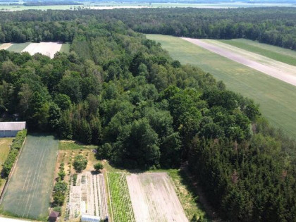 Las, działka leśna, wieś Holendernia, gm. Jabłoń