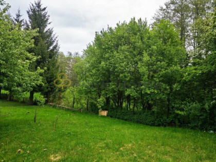 Działka rekreacyjna Gozdnica,