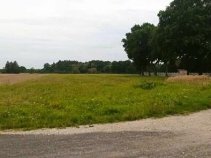 Działka pod 9 domów z WZ Brzezie/ Trzebnica