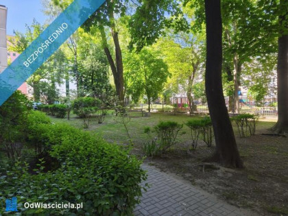 Centrum, obok Plazy, możliwe 3 pokoje, 47m2, Śródmieście, ul.Chopina, wysoki sufit