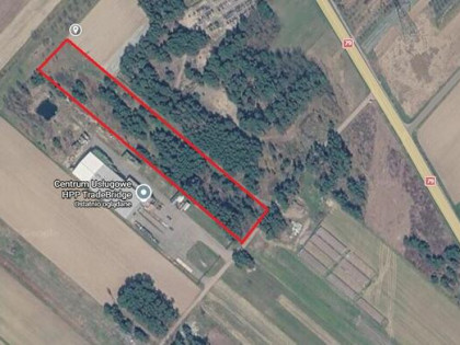 Działka rekreacyjna | Mniszew | 9728 m²
