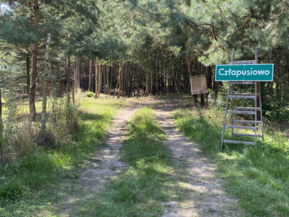 ŻYCHLIN UNIKAT Działka W Lesie