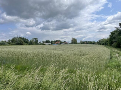 Działki z MPZP w miejscowości Niedary 25,35ar oraz 11,7ar