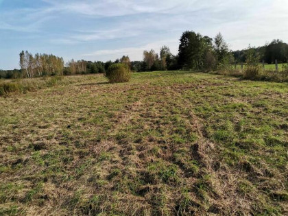 Sprzedam dzialke Wilków Nowy gmina Leoncin