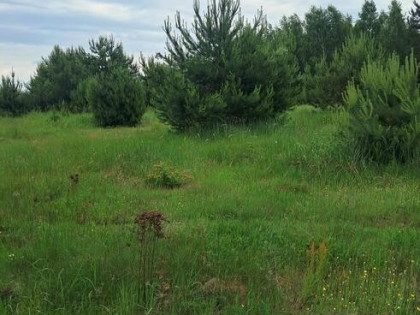 Działki budowlane w Planie ogólnym, 1040m2, Młynisko