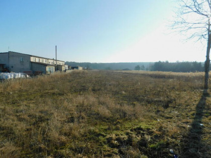 Syndyk sprzeda - Mogielnica, dz. nr 1657 i 1746