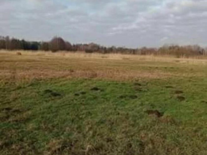 Bezpośrednio :Sprzedam lub wynajmę Działka łąka zieleń