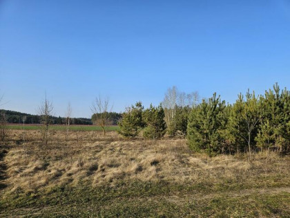 Działka rekreacyjna 1500m