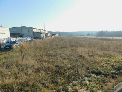 Syndyk sprzeda - Mogielnica, dz. nr 1656 i 1745