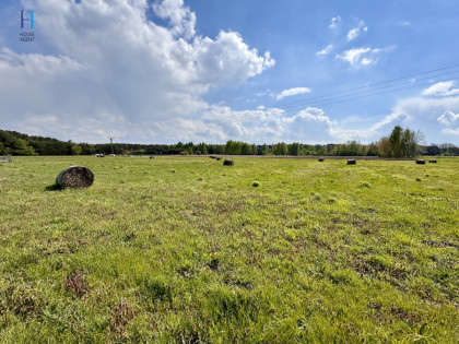 Działka Stary Adamów ul. Działkowa