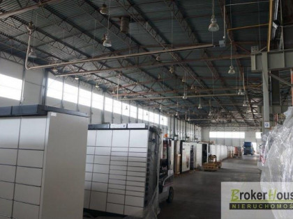 Lokal Opole