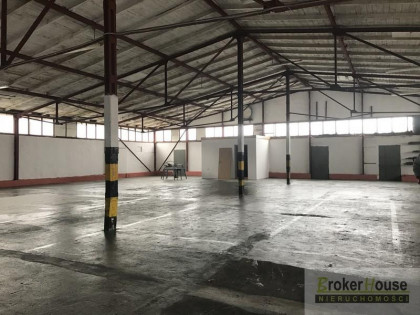 Lokal Opole