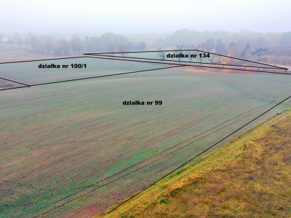Działka Dziubiele
