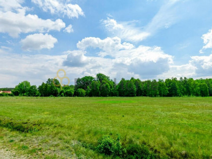 Działka inwestycyjna Mieszków gm. Trzebiel,