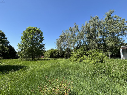 Działka Kalisz