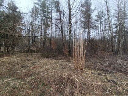 Działka Przyłogi ul.  