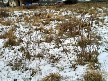 Działka 2240 m2,Kliniska Wielkie, gm. Goleniów