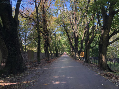 Działka Kraków Zwierzyniec, Salwator ul. al. Waszyngtona, Jerzego