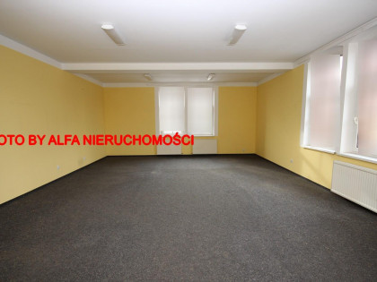 Lokal Świdnica okolice Centrum