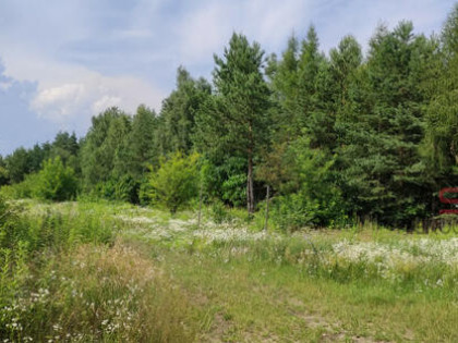 Działka budowlana Łoś gm. Prażmów,