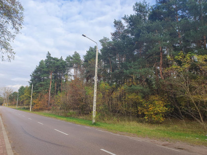 Działka Wiązowna