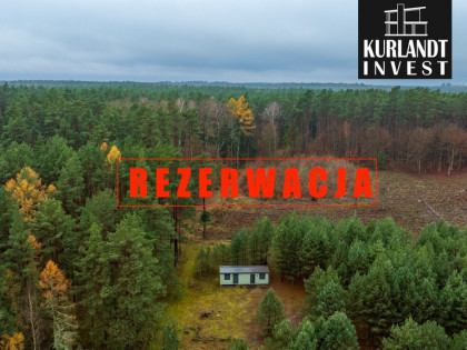 Dom letniskowy z prywatnym lasem Bory Tucholskie