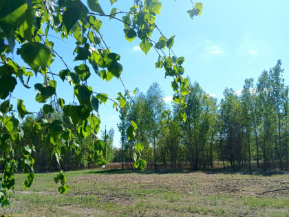 Działka Koryta ul.  