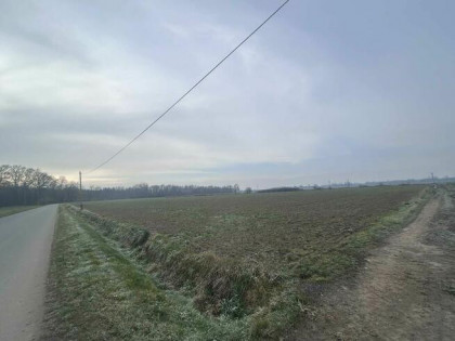 Sprzedam działki budowlane – 10 arowe, Prędocin