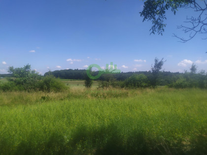 Działka Czajowice ul. Łokietka